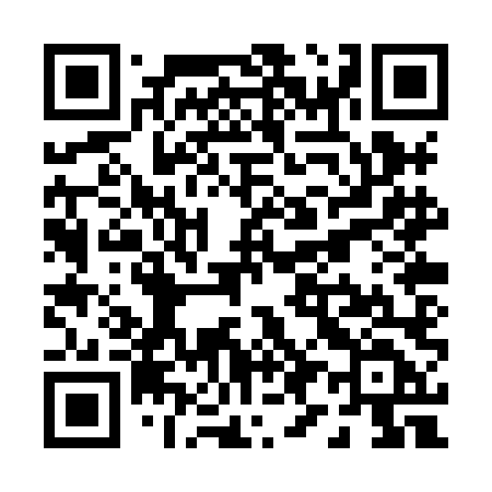 QR code for P90XLD