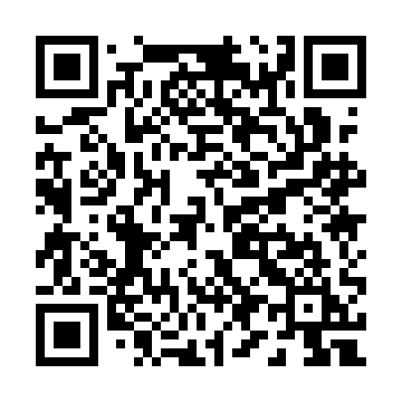 QR code for P911AI
