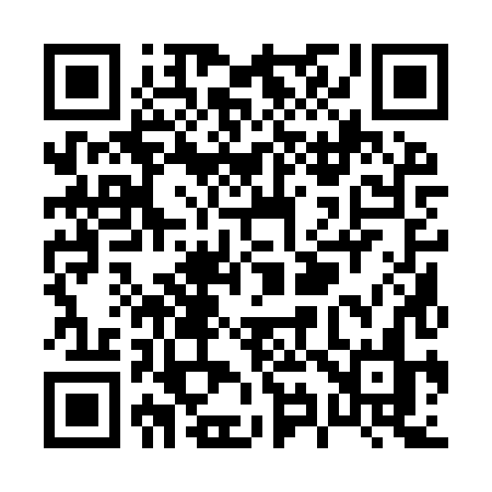 QR code for P919XN