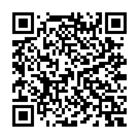 QR code for P91PGL