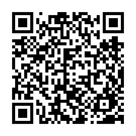 QR code for P91VJD