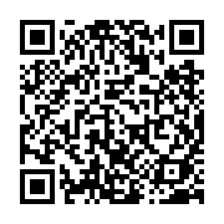 QR code for P91WII