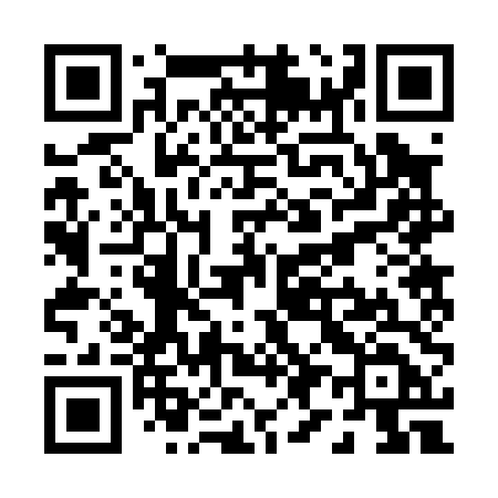 QR code for P9204D
