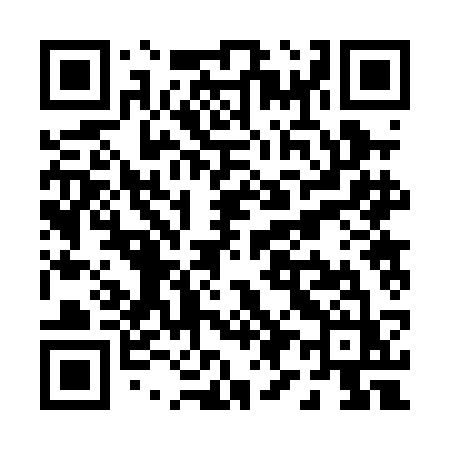 QR code for P920CZ