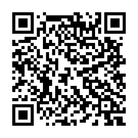 QR code for P9250F