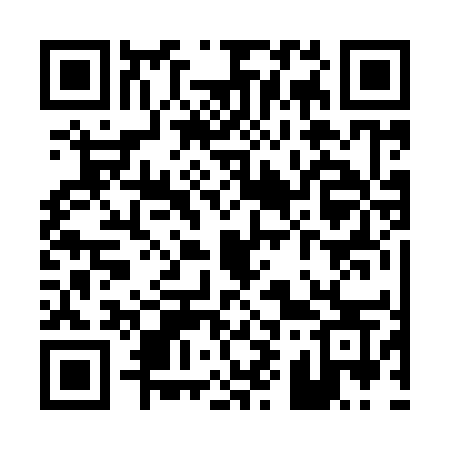 QR code for P9295S