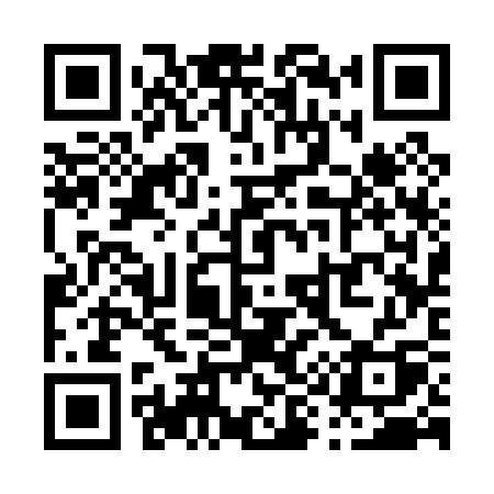 QR code for P9303Q