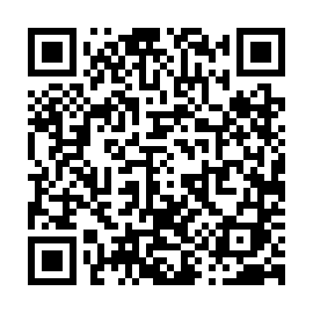QR code for P943DI