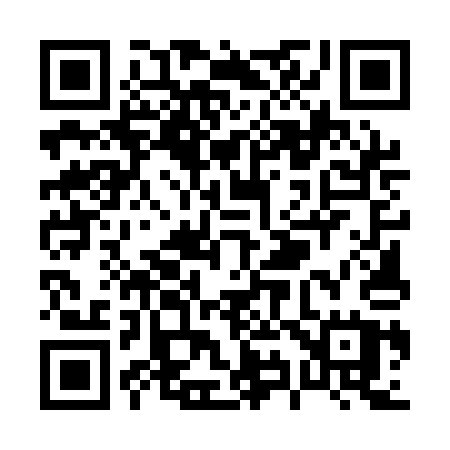 QR code for P951AU