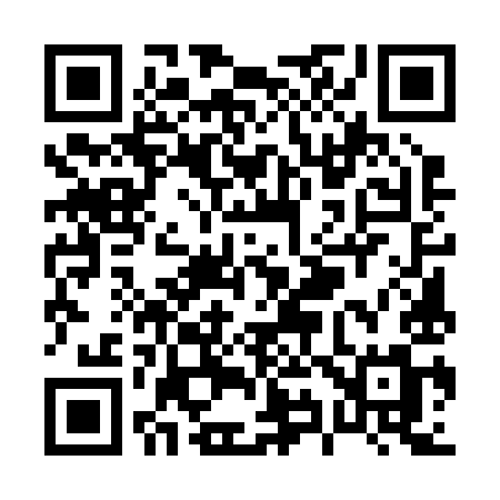 QR code for P9529M