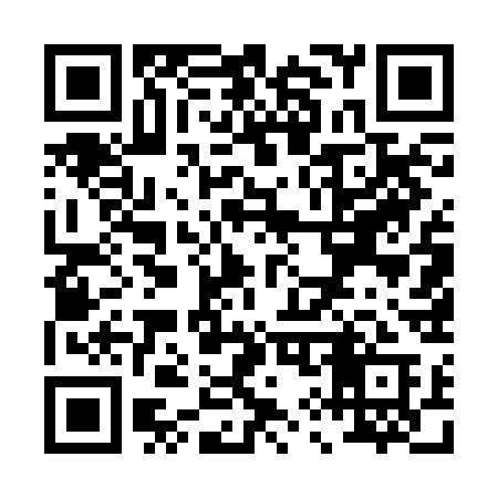 QR code for P952CA