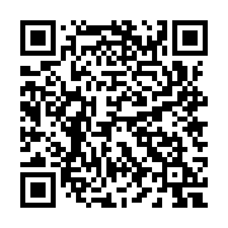 QR code for P959SE