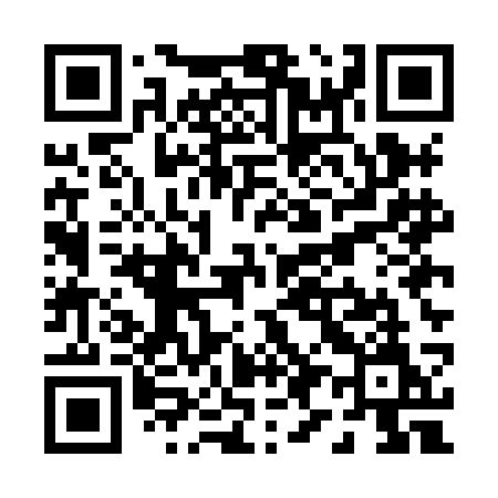 QR code for P95HCM