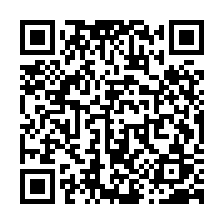 QR code for P95HSR