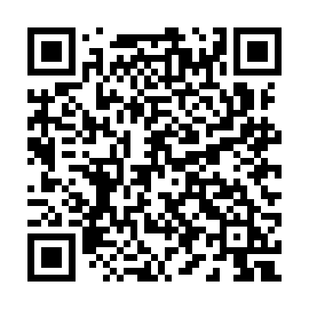 QR code for P95IBJ