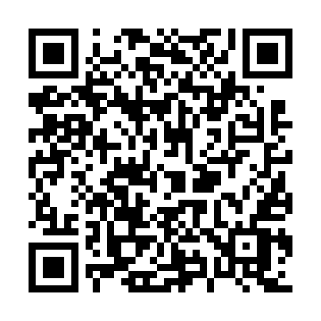 QR code for P9665V