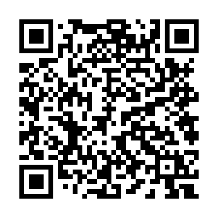 QR code for P968SX