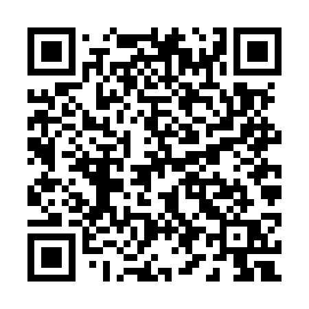 QR code for P96MSQ