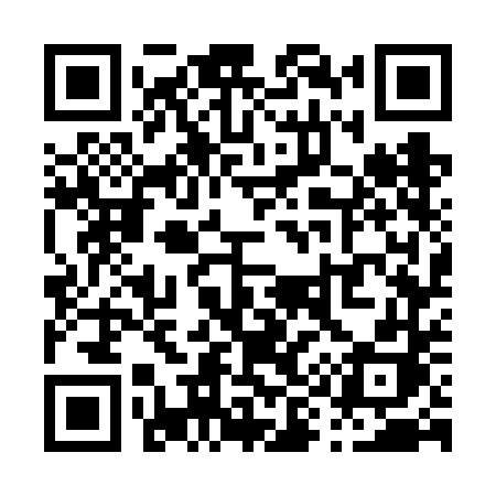 QR code for P976DH