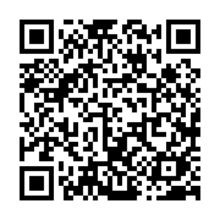 QR code for P9811M