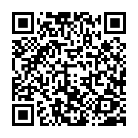 QR code for P9812Z