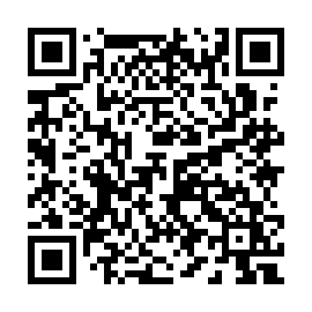 QR code for P991FZ