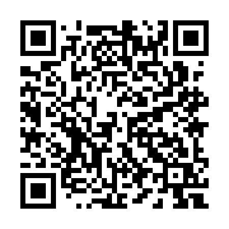 QR code for P991IS