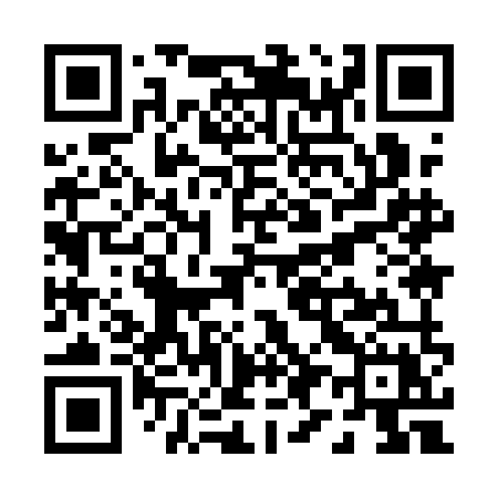 QR code for P991MX