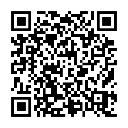 QR code for P993FS