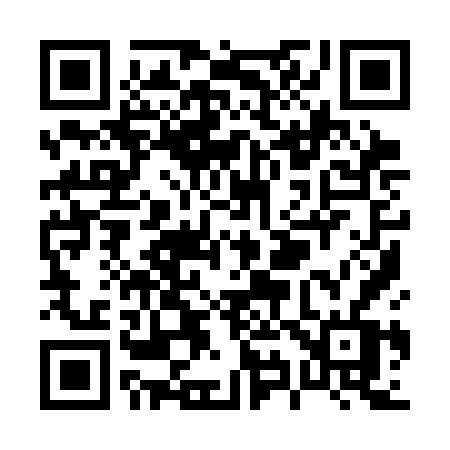 QR code for P993FV