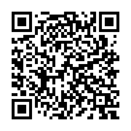 QR code for P993NP