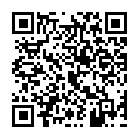 QR code for P993VD