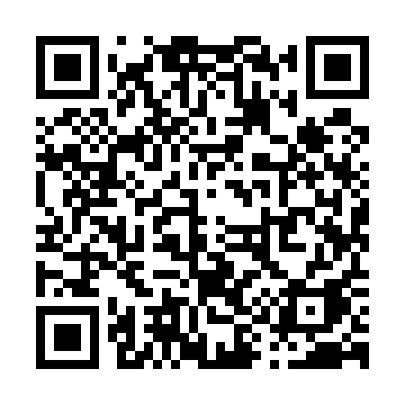 QR code for P9951A