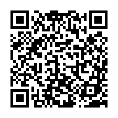 QR code for P9954I