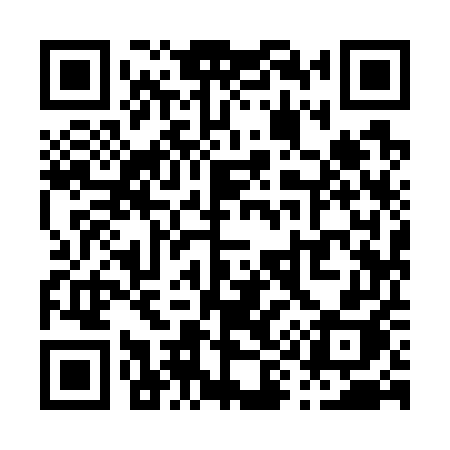 QR code for P9975H