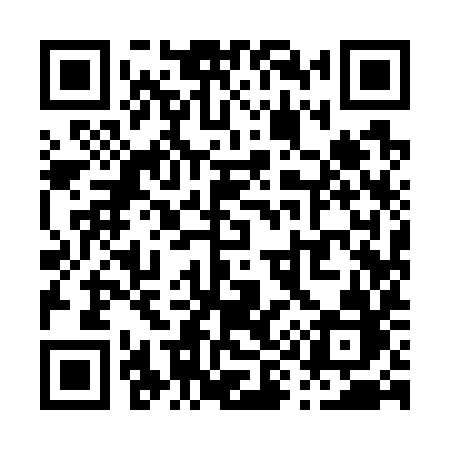 QR code for P9979B