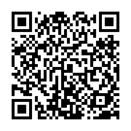 QR code for P99BII