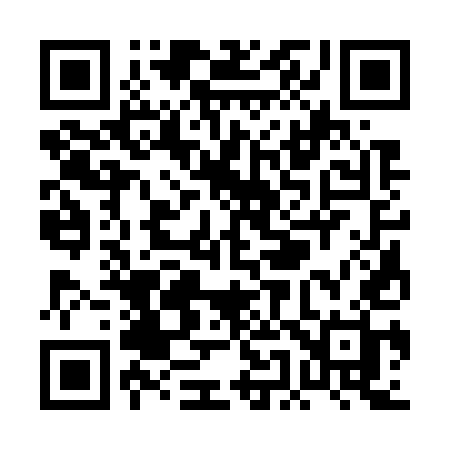 QR code for PE375H