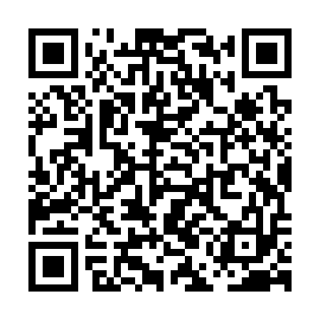 QR code for PEJS13