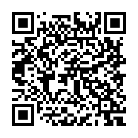 QR code for PFX95G