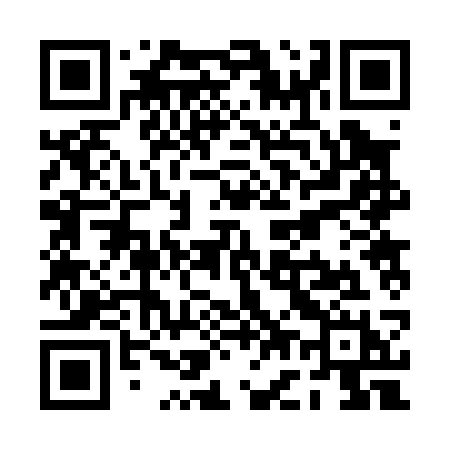 QR code for PG203H