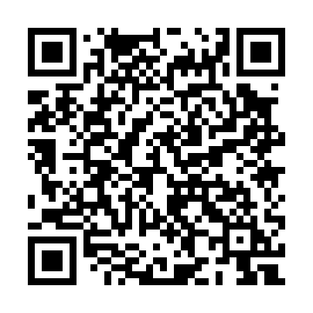 QR code for PH101I