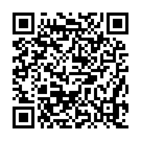 QR code for PI29WO