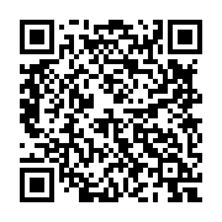 QR code for PI389F