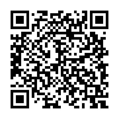 QR code for PI419Q