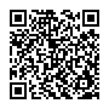 QR code for PIR63F