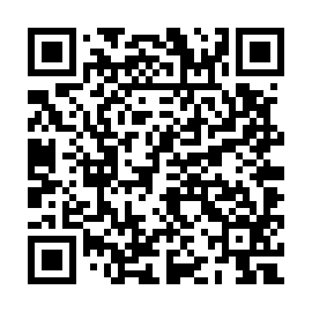 QR code for PJTU96
