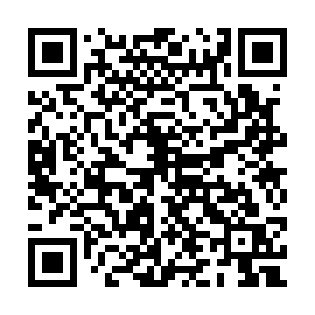 QR code for PL313S