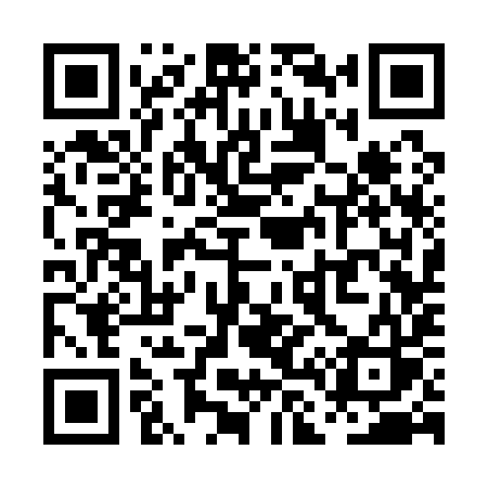 QR code for PL319S