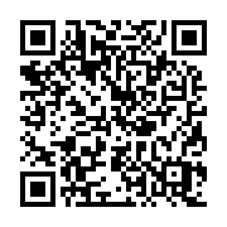 QR code for PL390W
